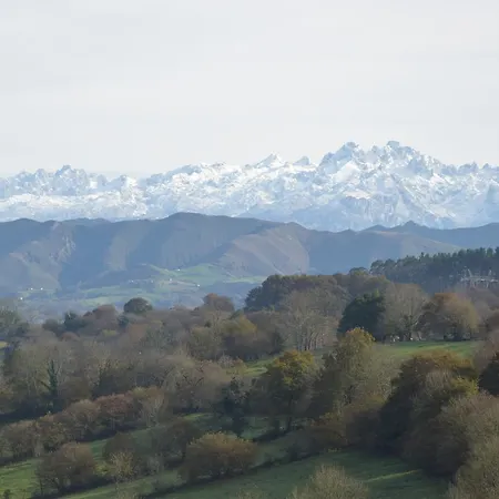 Familiar De Pintueles *